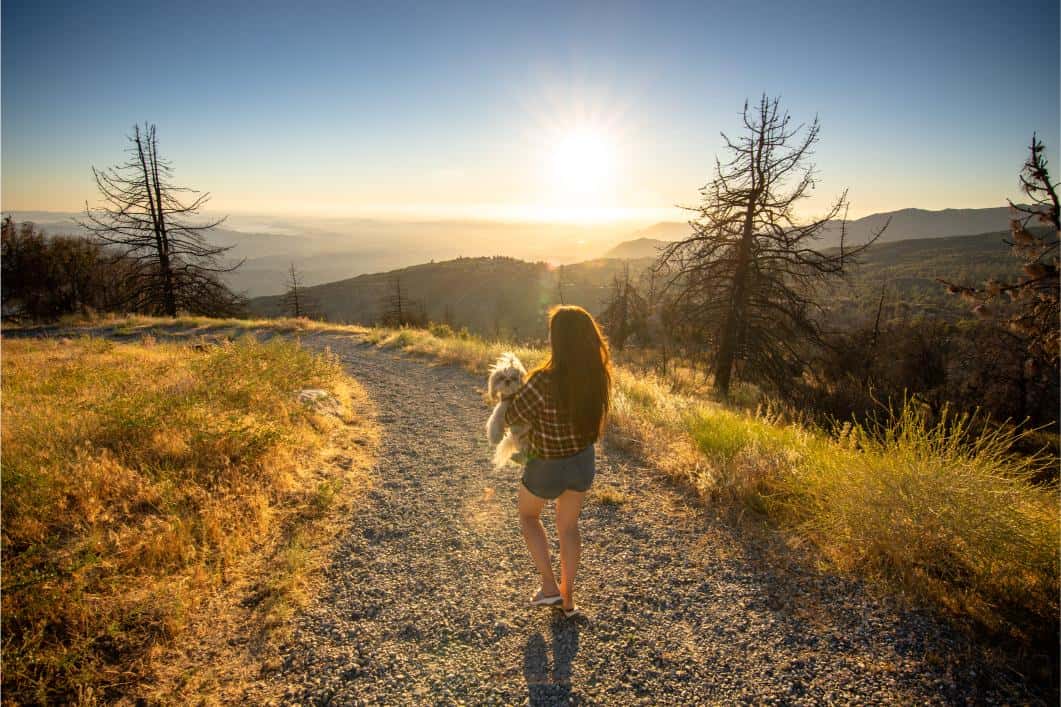 Woman walking on pathway with dog.